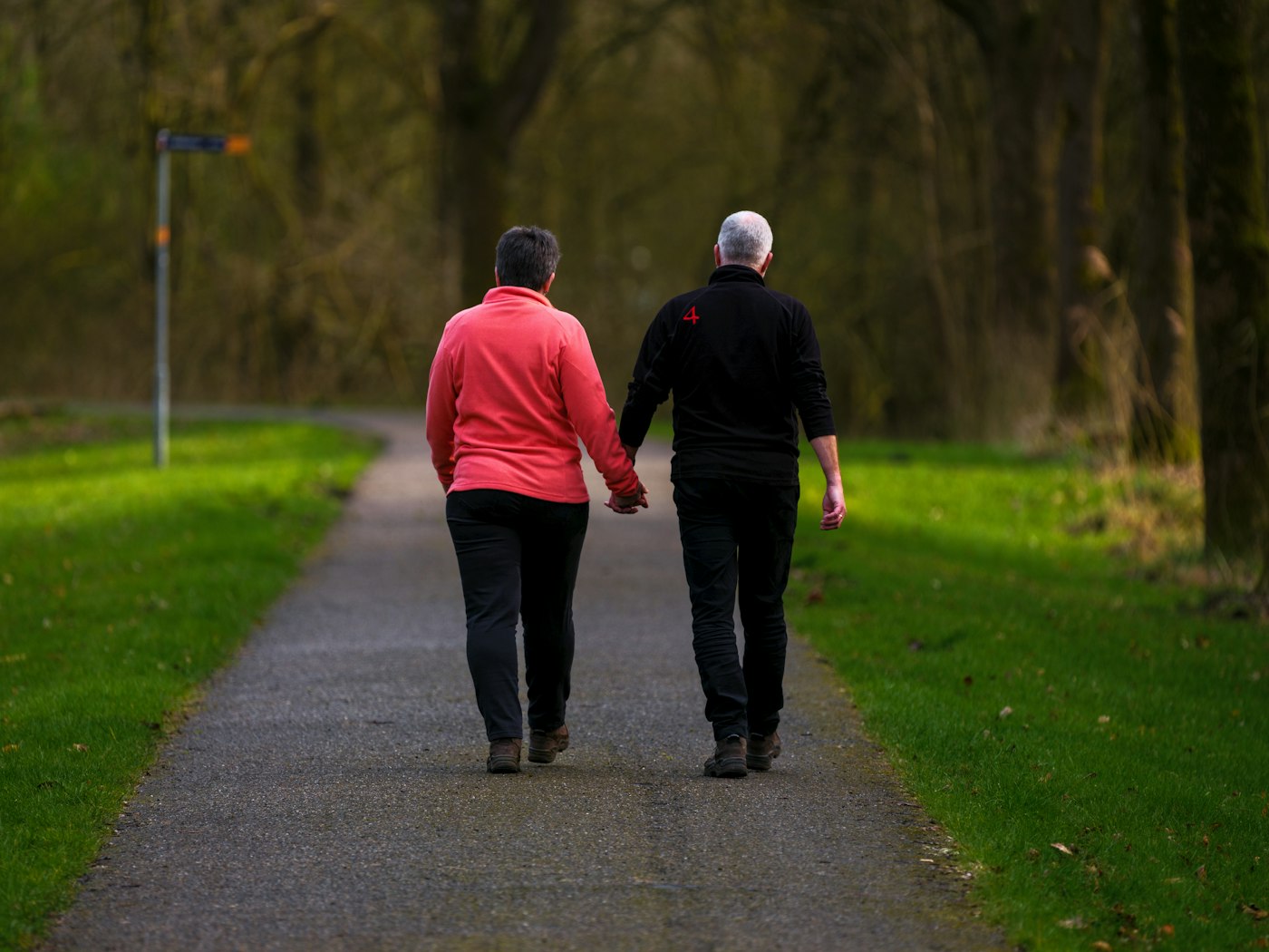 Couple walking hand-in-hand down a park path